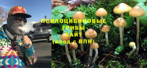 молекула духа Белоозёрский