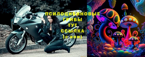 молекула духа Белоозёрский