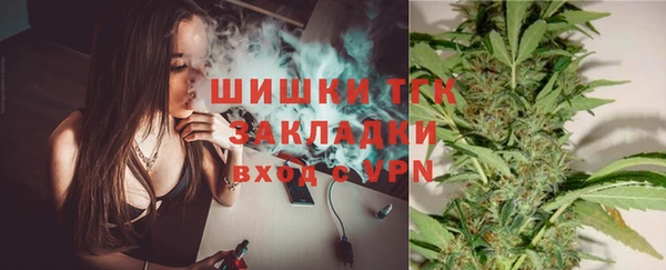 молекула духа Белоозёрский