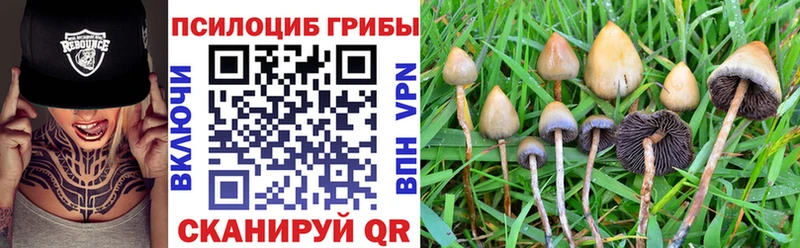 Галлюциногенные грибы Magic Shrooms  Вышний Волочёк 